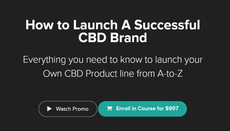 How to Launch A Successful CBD Brand
