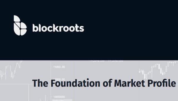 Blockroots Orderflow and Market Profile - Ebizcourses