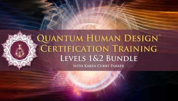 Quantum Human Design Professional Training