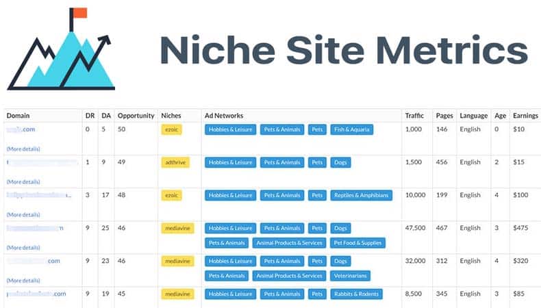 Niche Site Metrics